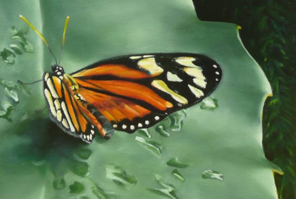 Le papillon - Artiste Peintre - Guylaine Ruel