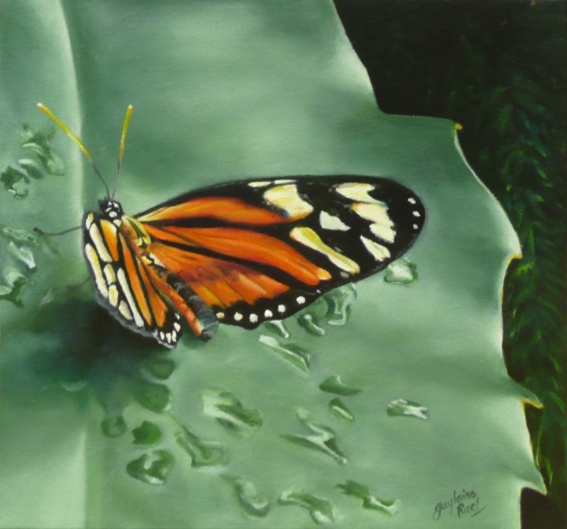 Le papillon - Artiste Peintre - Guylaine Ruel