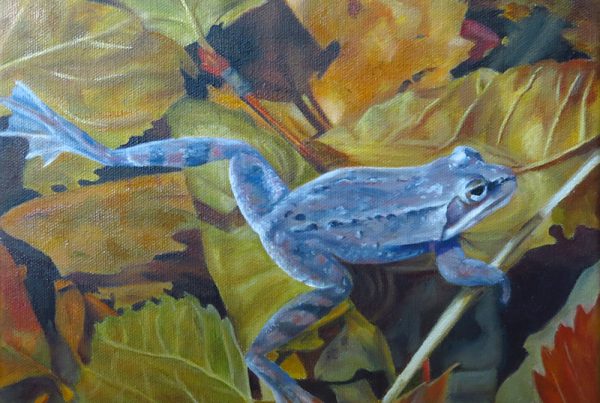 La grenouille de St-Bruno - Artiste Peintre - Guylaine Ruel
